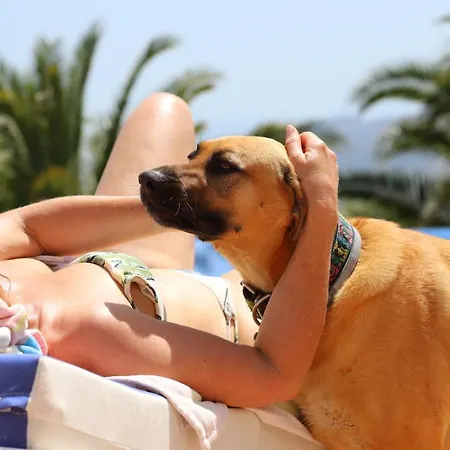Manana Bed & Breakfast Mijas